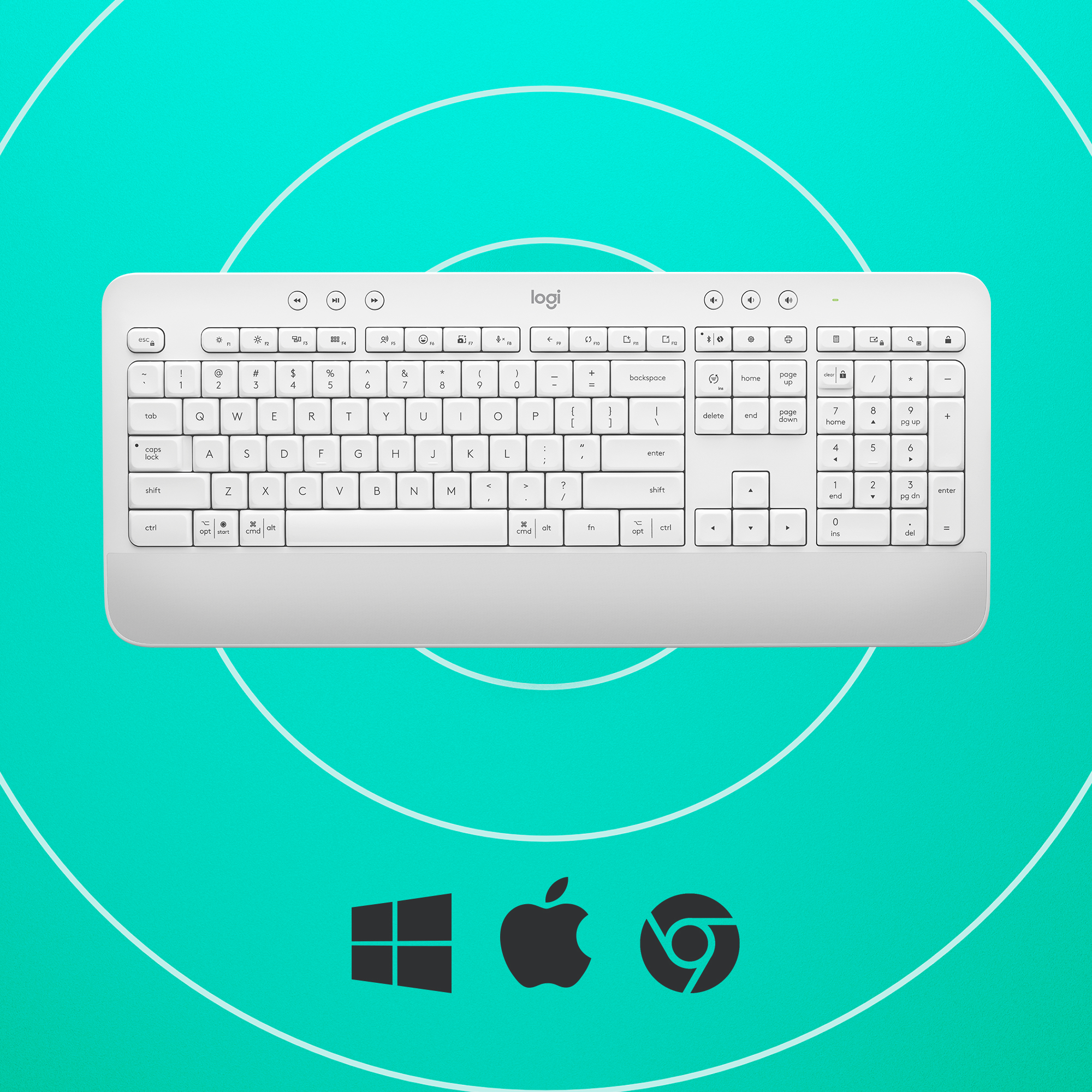 Logitech Signature K650, Volle Größe (100%), Kabellos, Bluetooth, Membran Key Switch, QWERTZ, Weiß