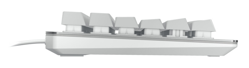 Cherry MV3.0 RGB, Kabelgebunden, USB, Mechanischer Switch, QWERTY, RGB-LED, Silber, Weiß