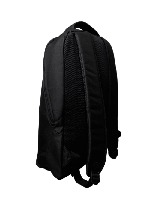 Acer Essential ABG145 - Notebook-Rucksack - 39.6 cm (15.6")
