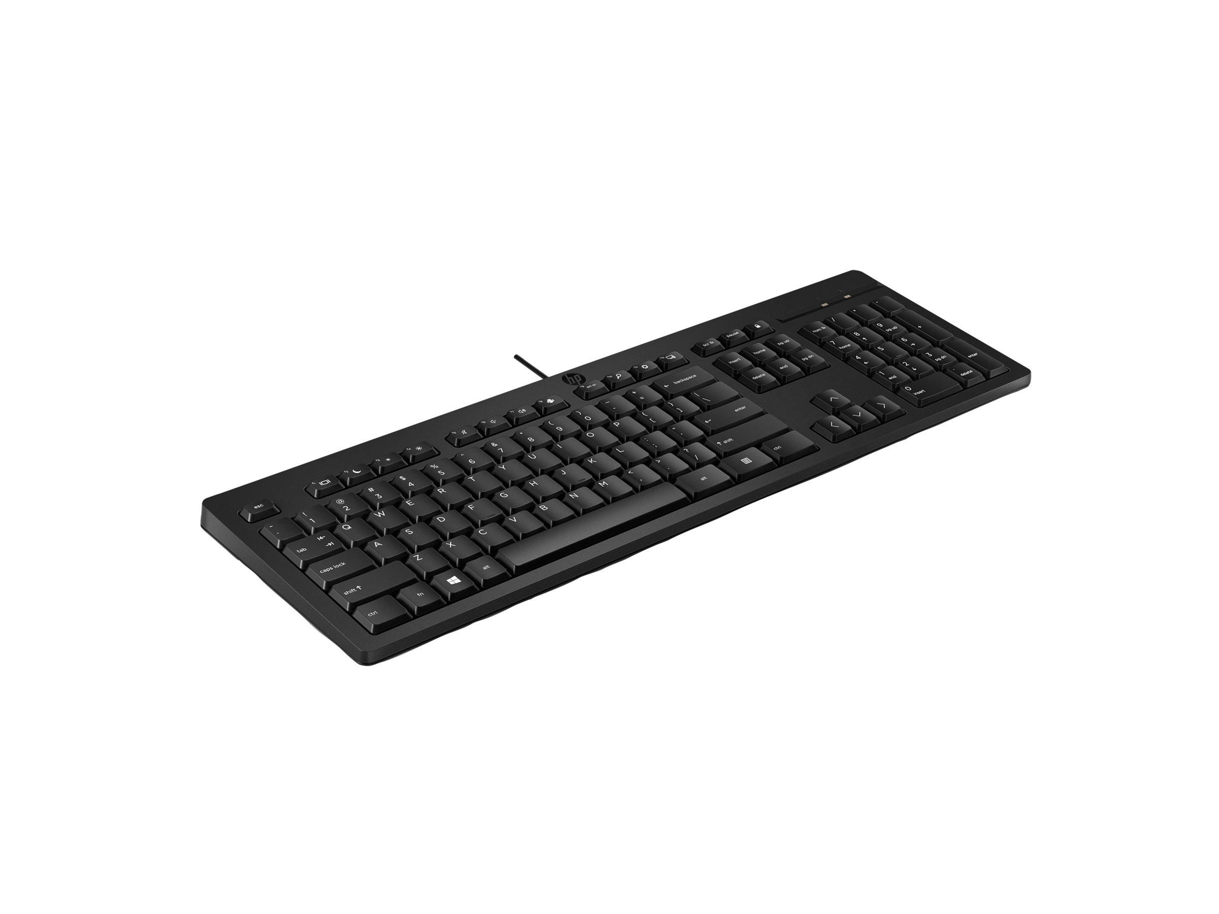 HP 125 G2 - Tastatur - full size - USB - Ungarisch