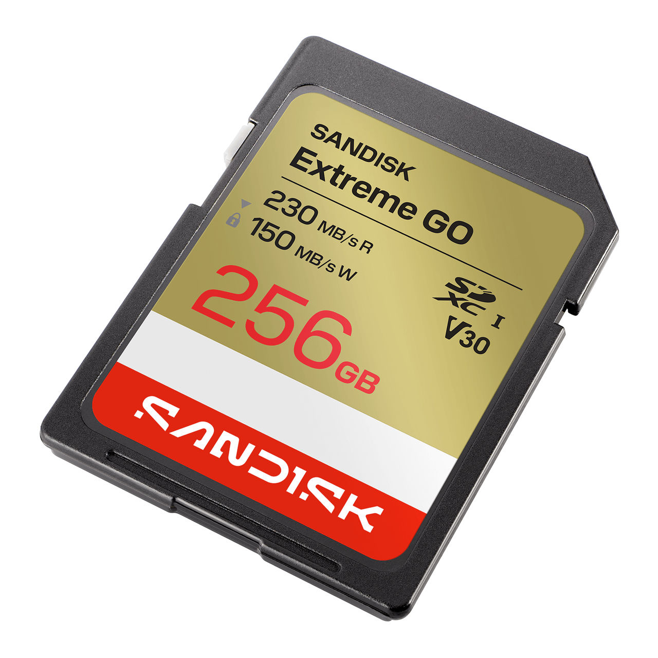 SanDisk Extreme Go - Flash-Speicherkarte - 256 GB