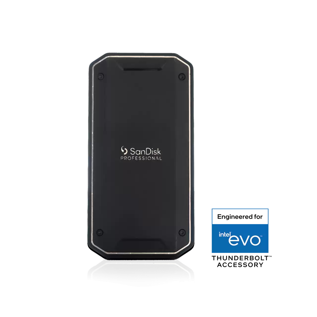 SanDisk Professional PRO-G40 exFAT SSD 1TB, Thunderbolt 3