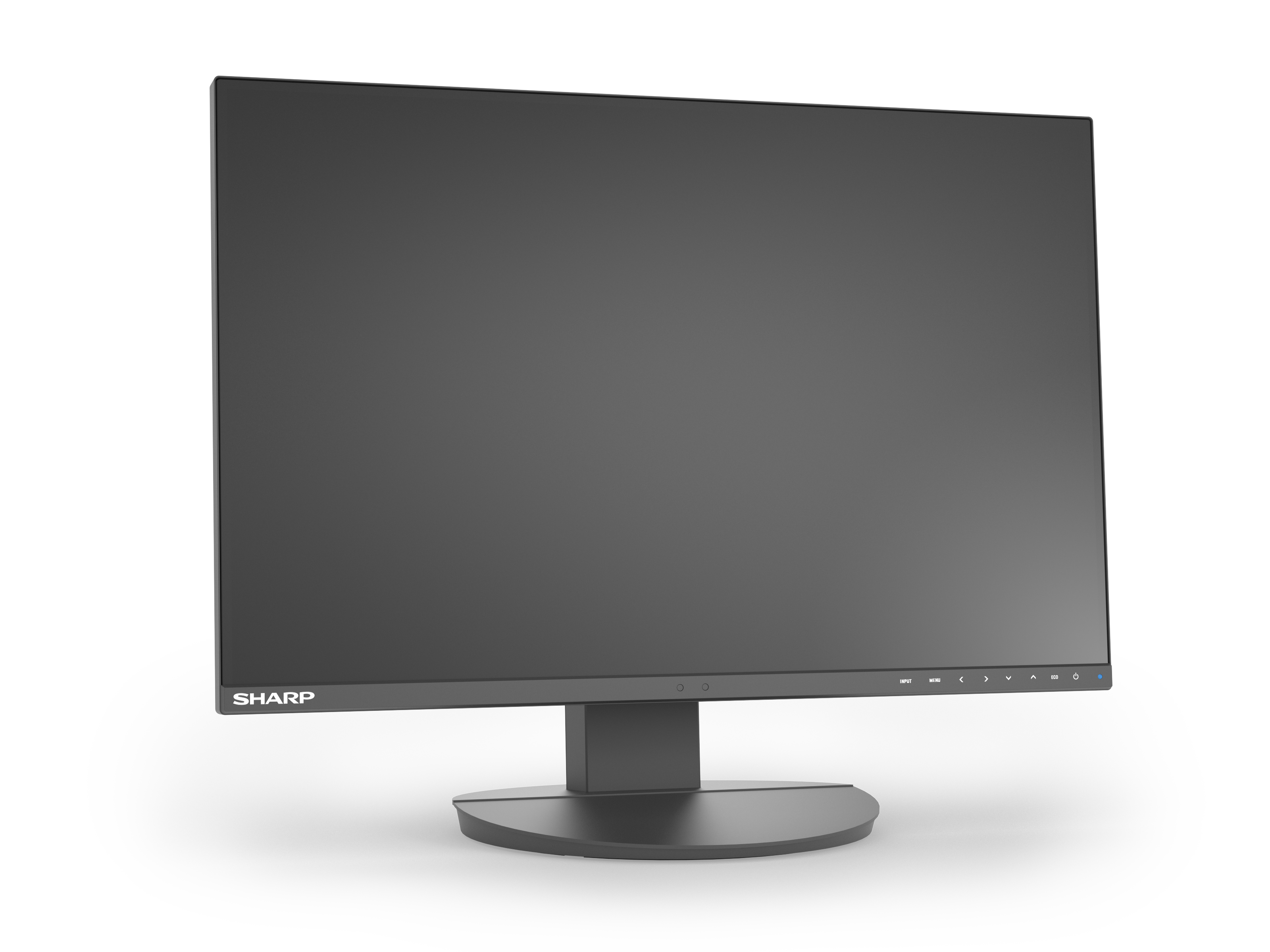 Sharp MultiSync EA241W - LED-Monitor - 61 cm (24")