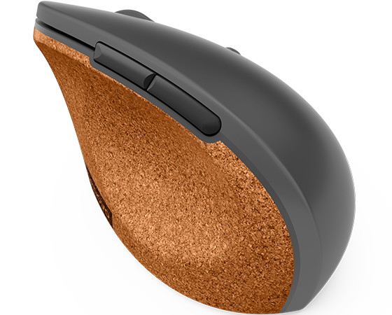 Lenovo Go - Maus - ergonomisch - optisch blau - 6 Tasten - kabellos - 2.4 GHz - kabelloser Empfänger