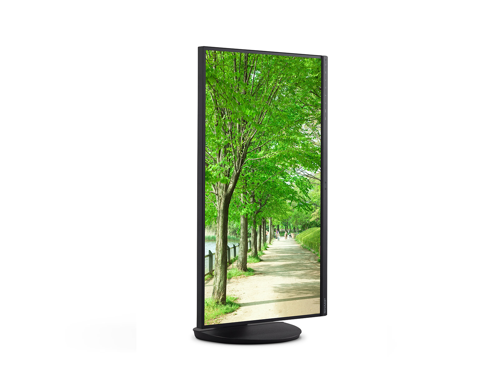 Sharp MultiSync EA272Q - LED-Monitor - 68 cm (27")