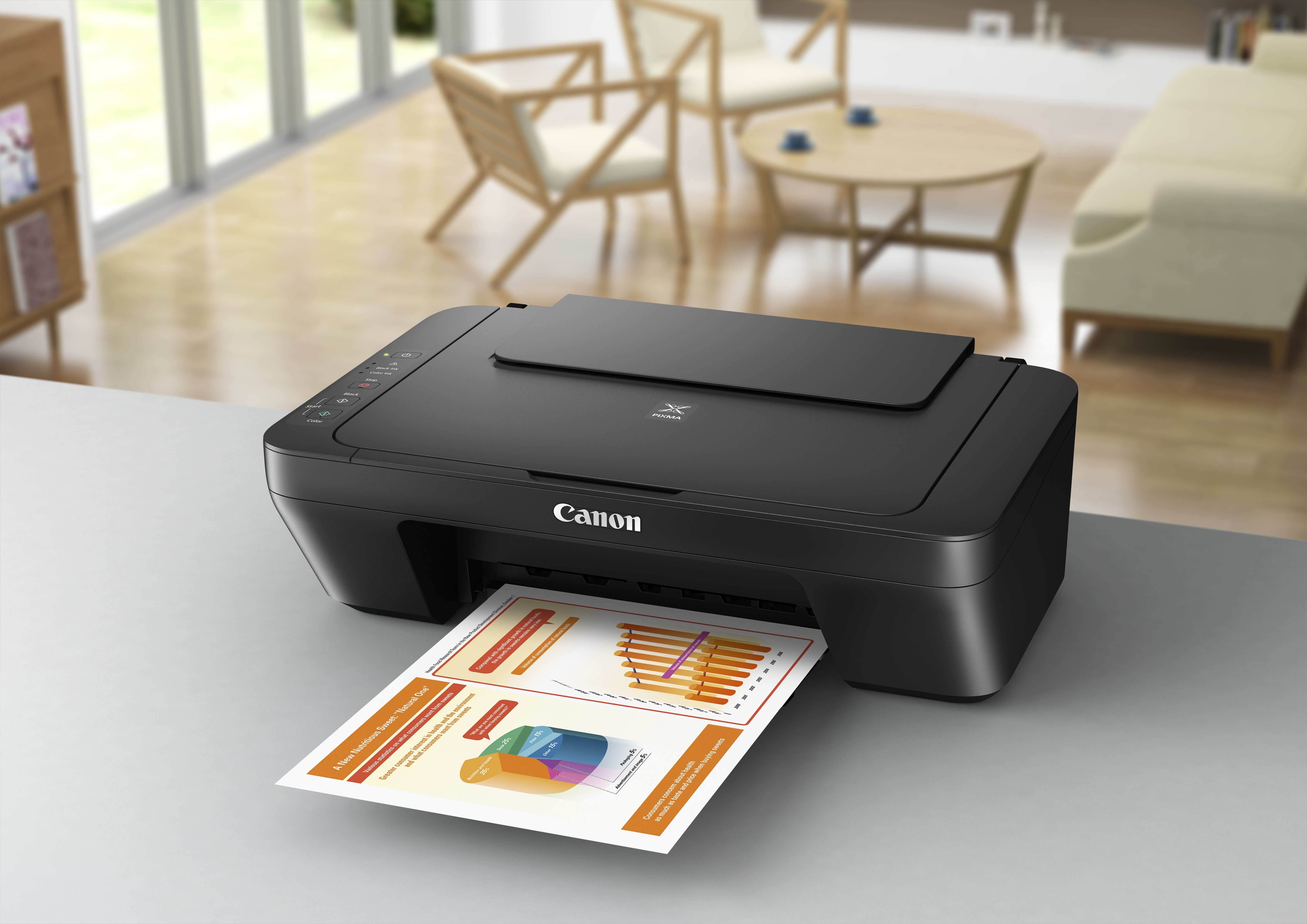 Canon PIXMA MG2550S - Multifunktionsdrucker - Farbe - Tintenstrahl - 216 x 297 mm (Original)