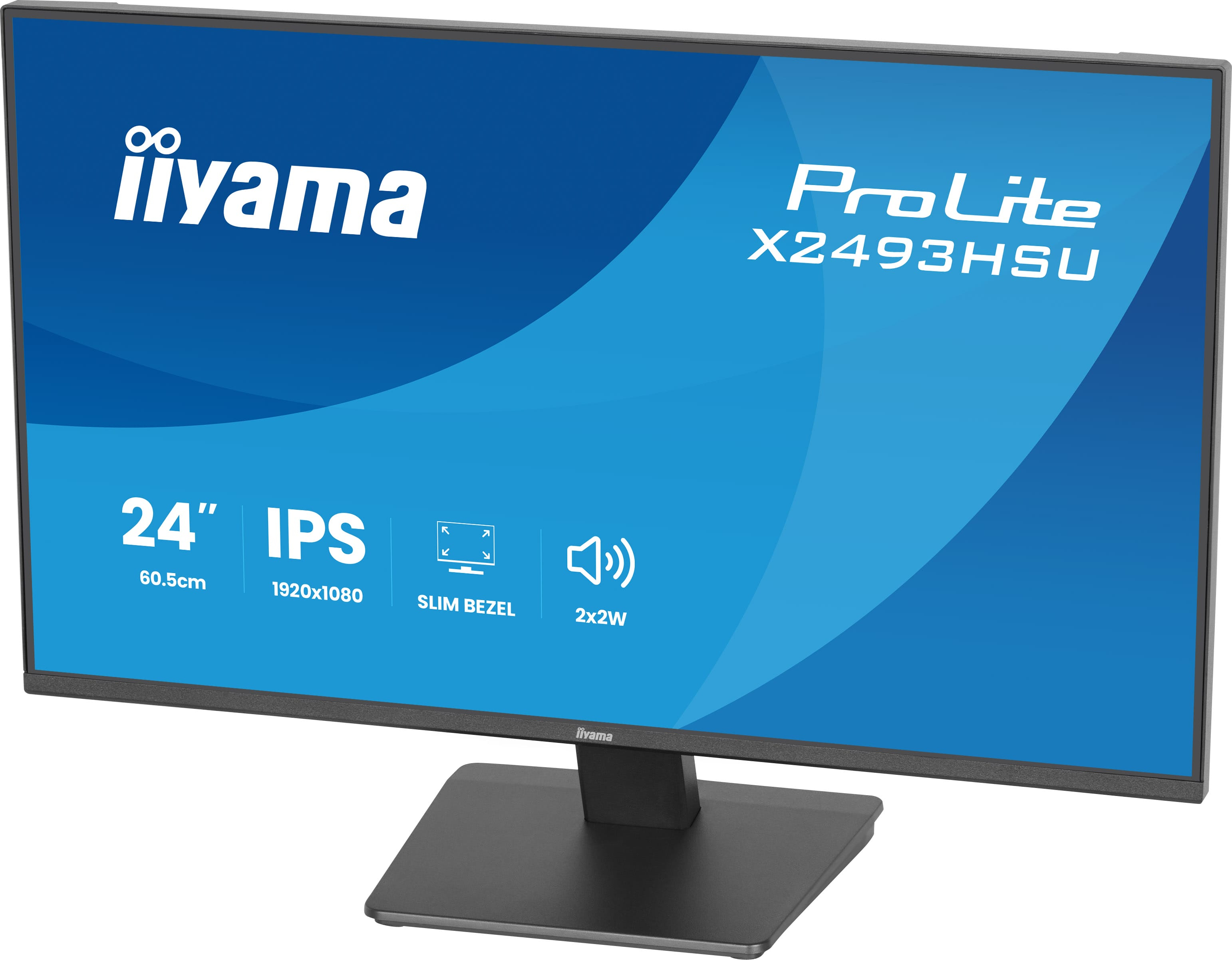 Iiyama ProLite X2493HSU-B1 - LED-Monitor - 61 cm (24")