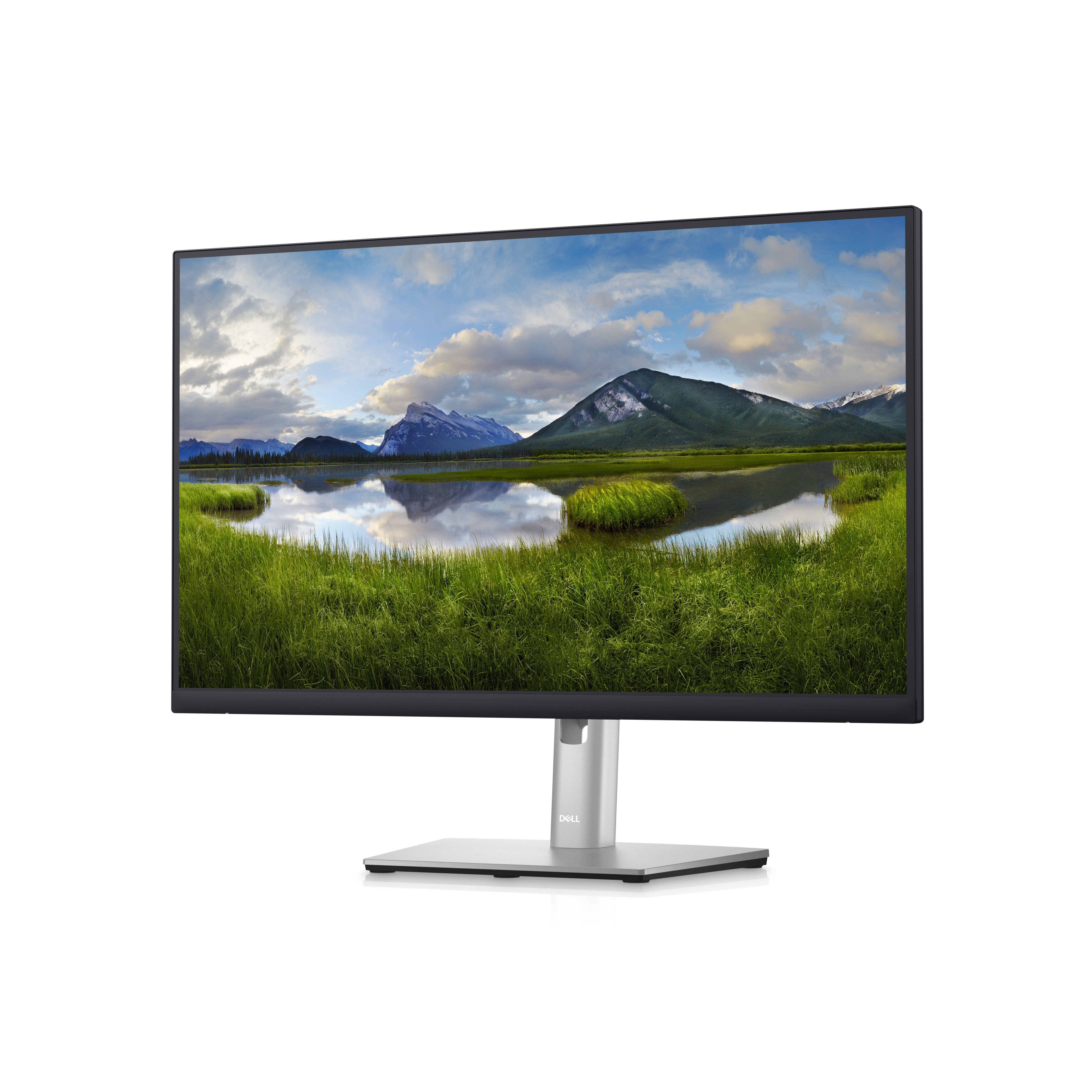 Dell P2423D 24" - LED-Monitor - 60,5 cm - 2560 x 1440 QHD - 60 Hz - IPS - 300 cd/m²