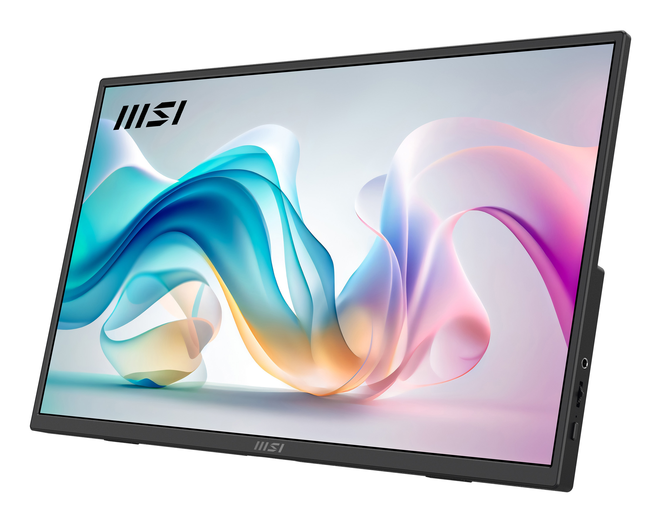 MSI PRO MP165DE E6 - LED-Monitor - 40.6 cm (16")