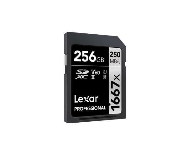 Lexar Professional - Flash-Speicherkarte - 256 GB