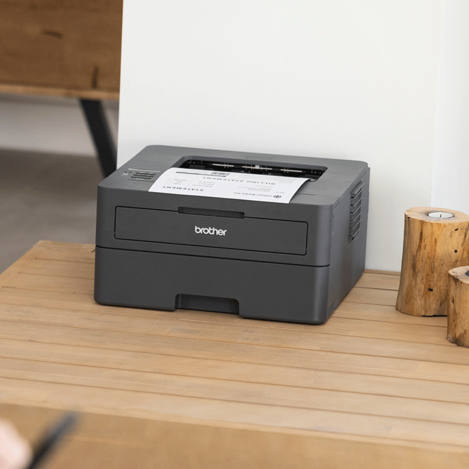 Brother HL-L2400DWE - Drucker - s/w - Duplex