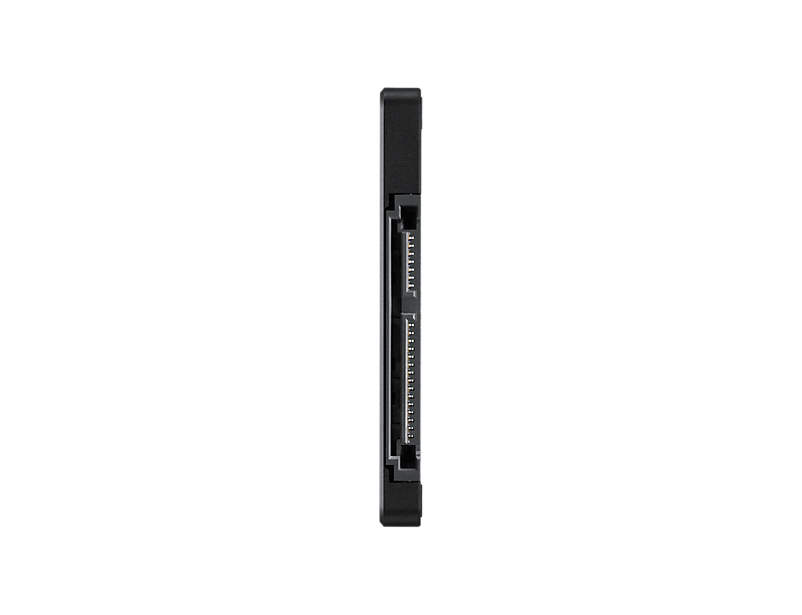 Samsung 850 EVO MZ-75E250 - SSD - verschlüsselt - 250 GB - intern - 2.5" (6.4 cm)