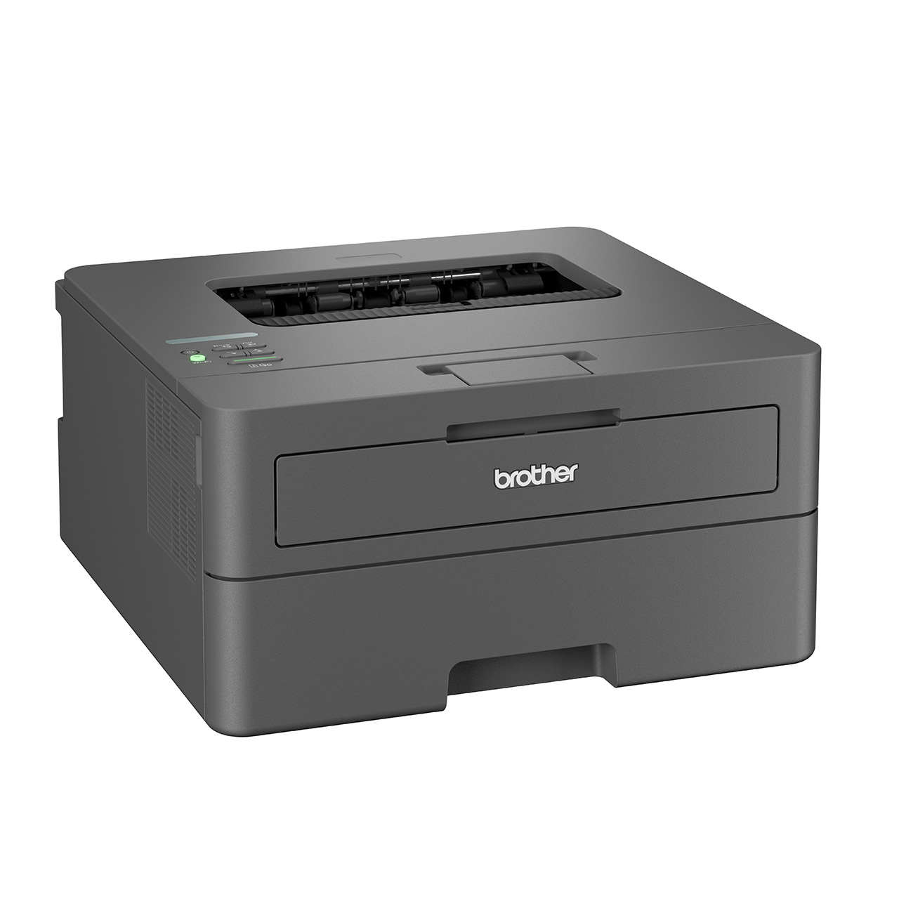 Brother HL-L2400DW - Drucker - s/w - Duplex