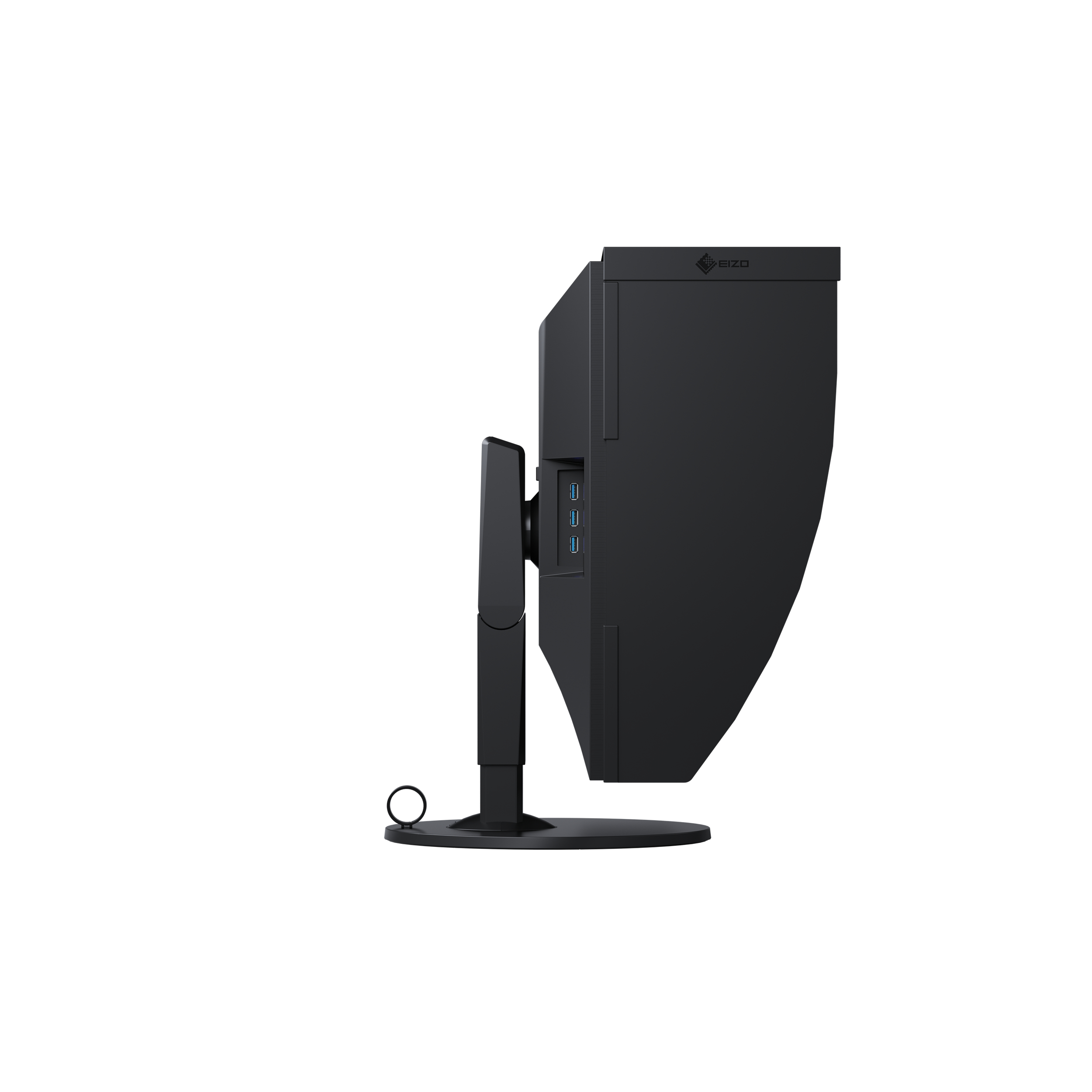EIZO ColorEdge CG319X - LED-Monitor - 79 cm (31.1")