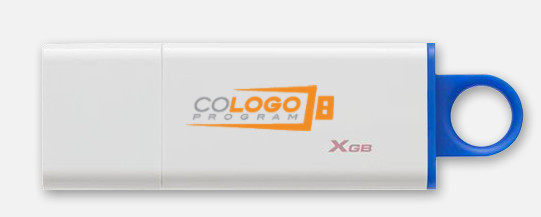 Kingston DataTraveler G4 - USB-Flash-Laufwerk