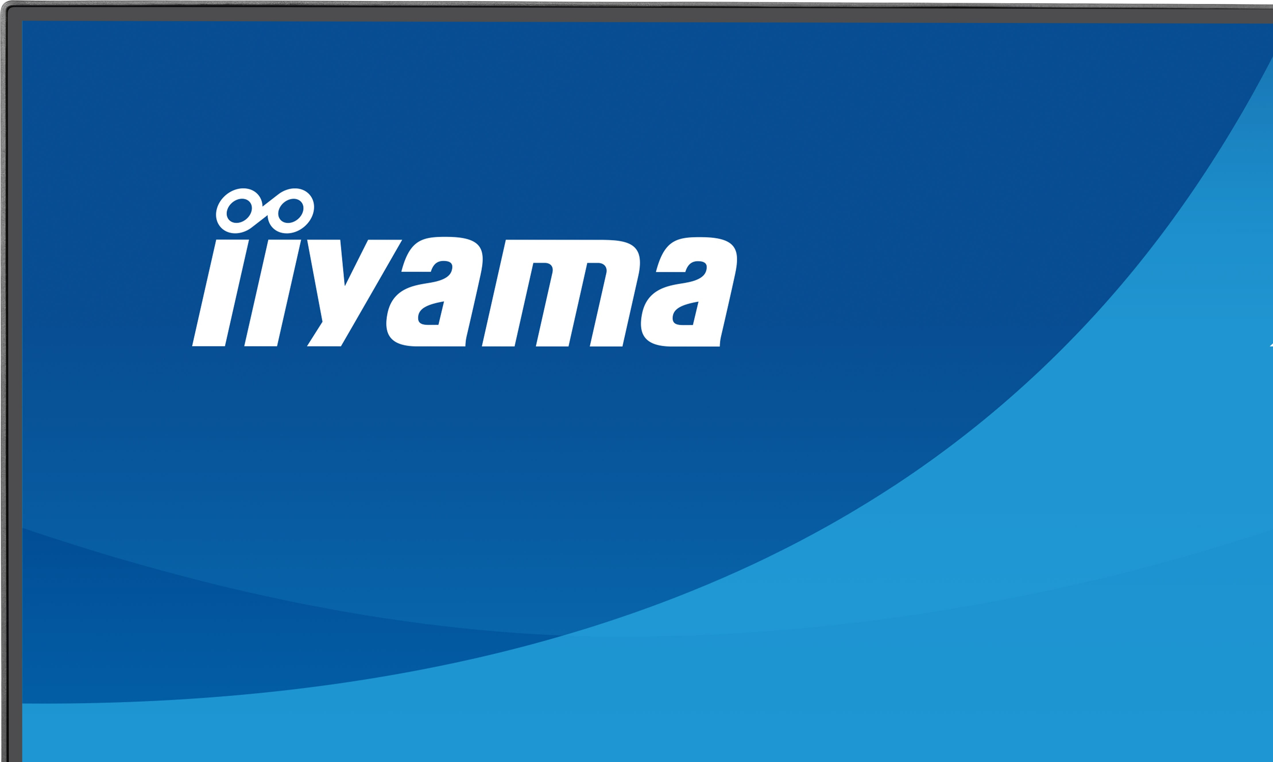 Iiyama ProLite XB2493HSU-B1 - LED-Monitor - 61 cm (24")