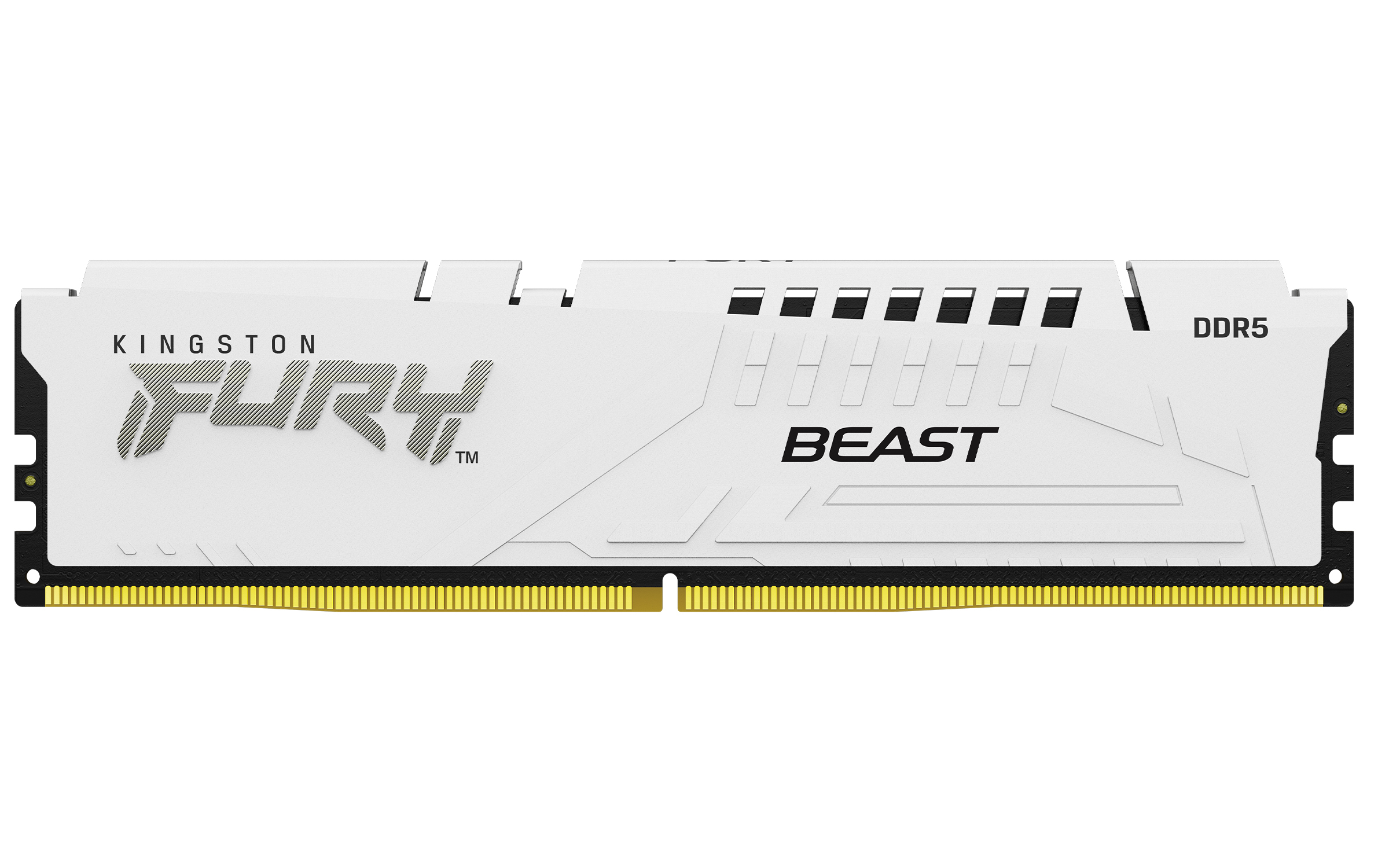Kingston FURY Beast weiß UDIMM 16GB, DDR5-5200, CL40-40-40, 1RX8