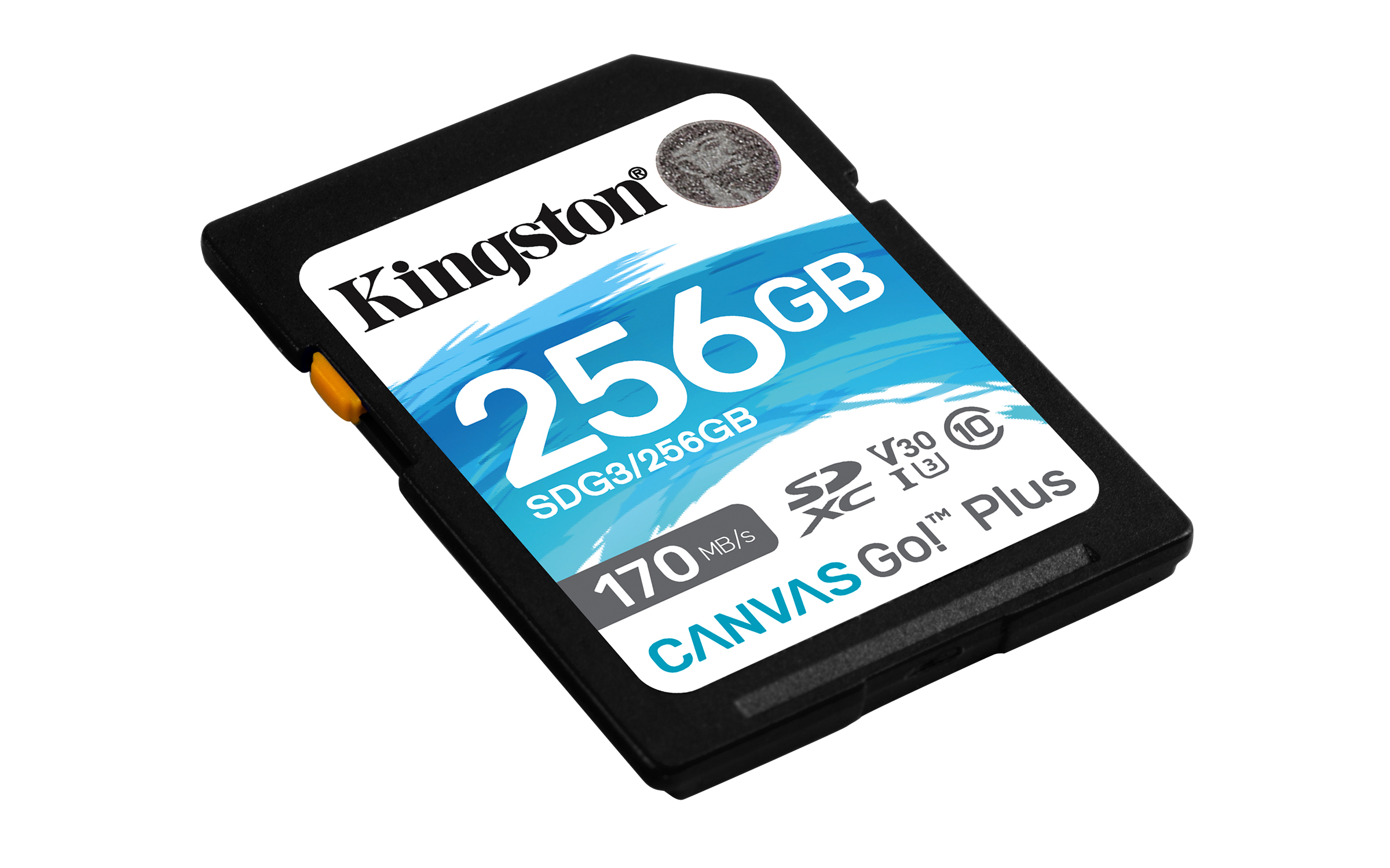 Kingston Canvas Go! Plus - Flash-Speicherkarte