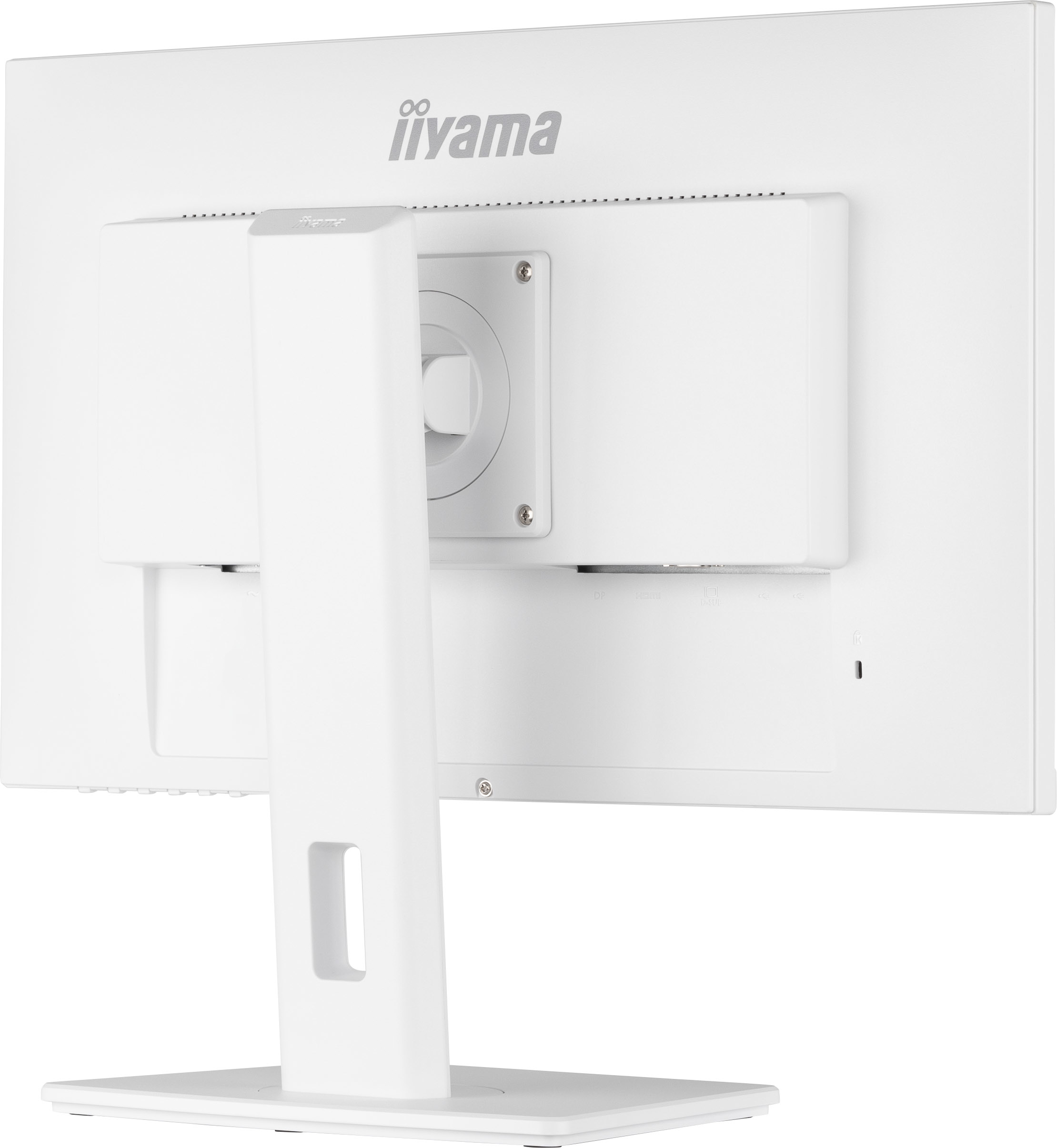 Iiyama ProLite XUB2492HSU-W5 - LED-Monitor - 61 cm (24")