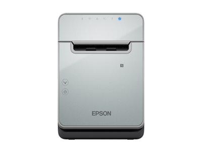 Epson TM L100 (103A0) - Belegdrucker - Thermozeile - Rolle (7,95 cm)