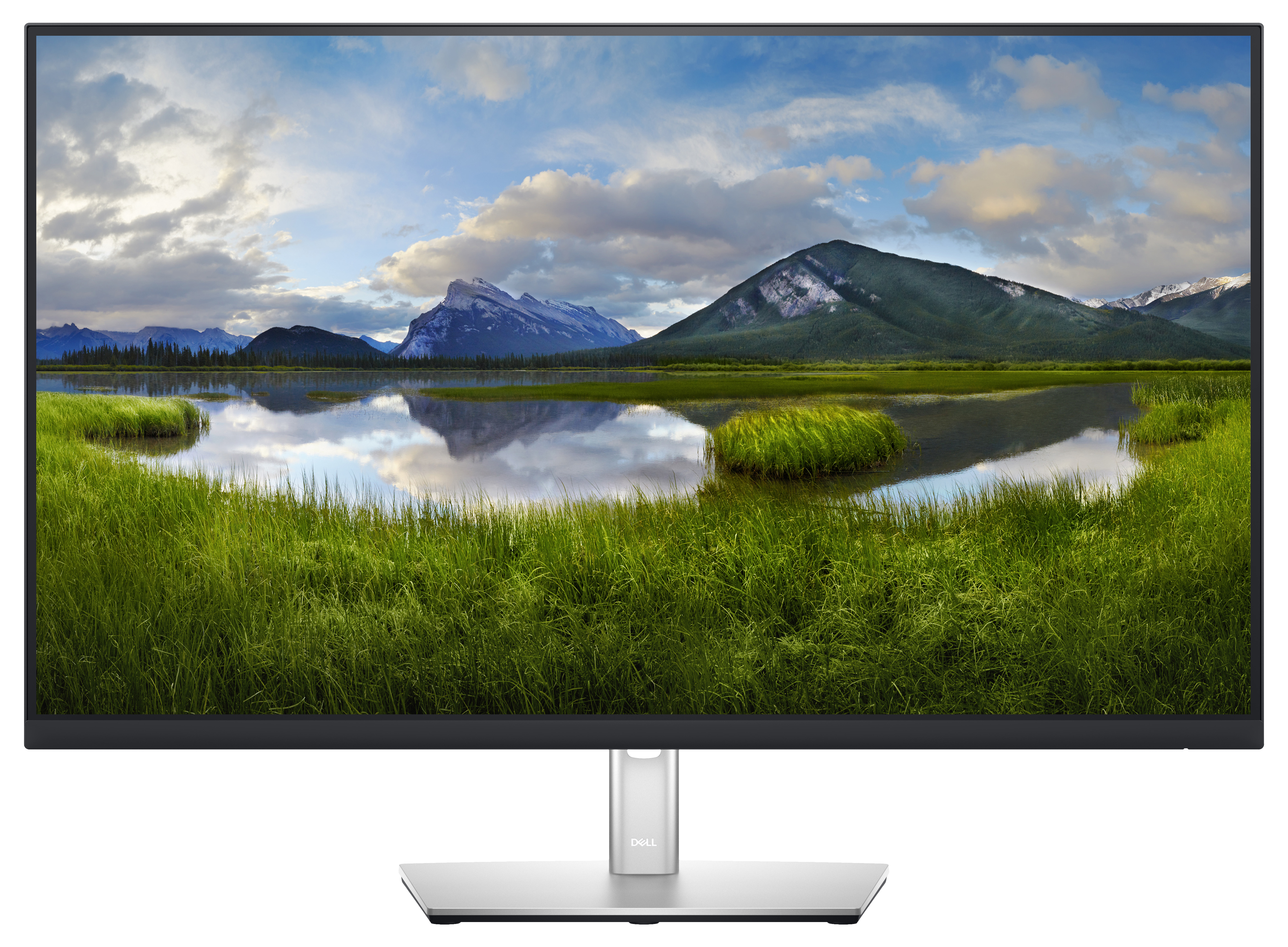Dell P3221D - LED-Monitor - 80.098 cm (31.5")