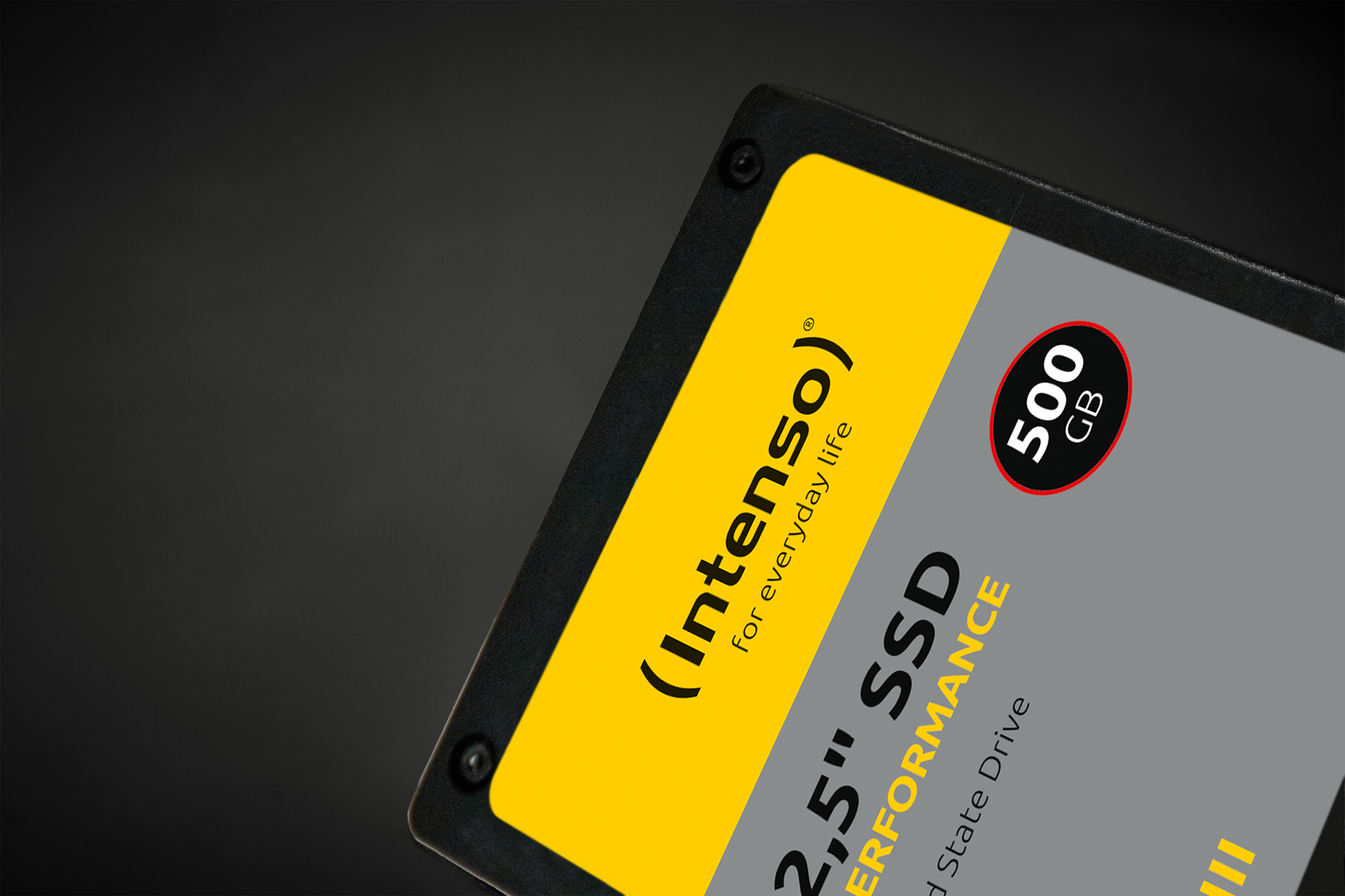 Intenso Performance 1 TB Interne SSD SATA III 3814460