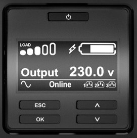APC Smart-UPS SRT 1000VA - USV (in Rack montierbar/extern)