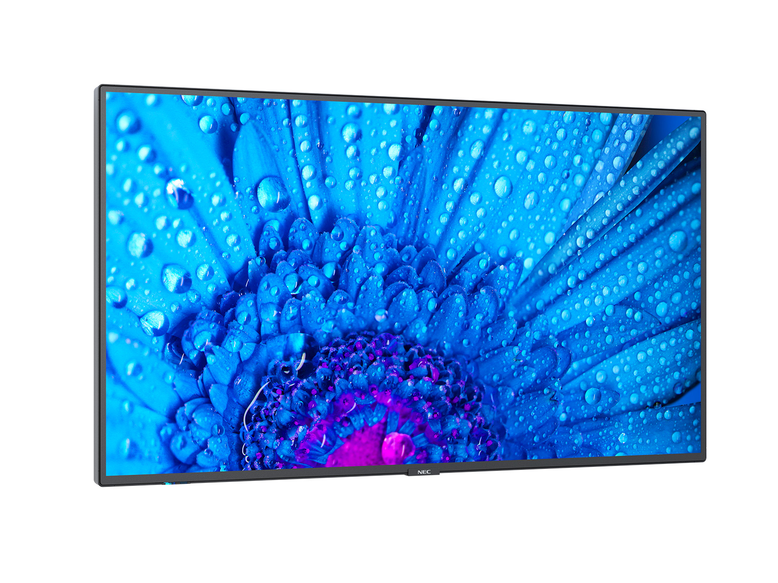 NEC Display MultiSync M491, Digital Signage Flachbildschirm, 124,5 cm (49"), IPS, 3840 x 2160 Pixel,