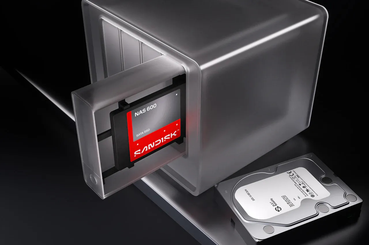 SanDisk NAS 600 - SSD - 2 TB - intern - 2.5" (6.4 cm)