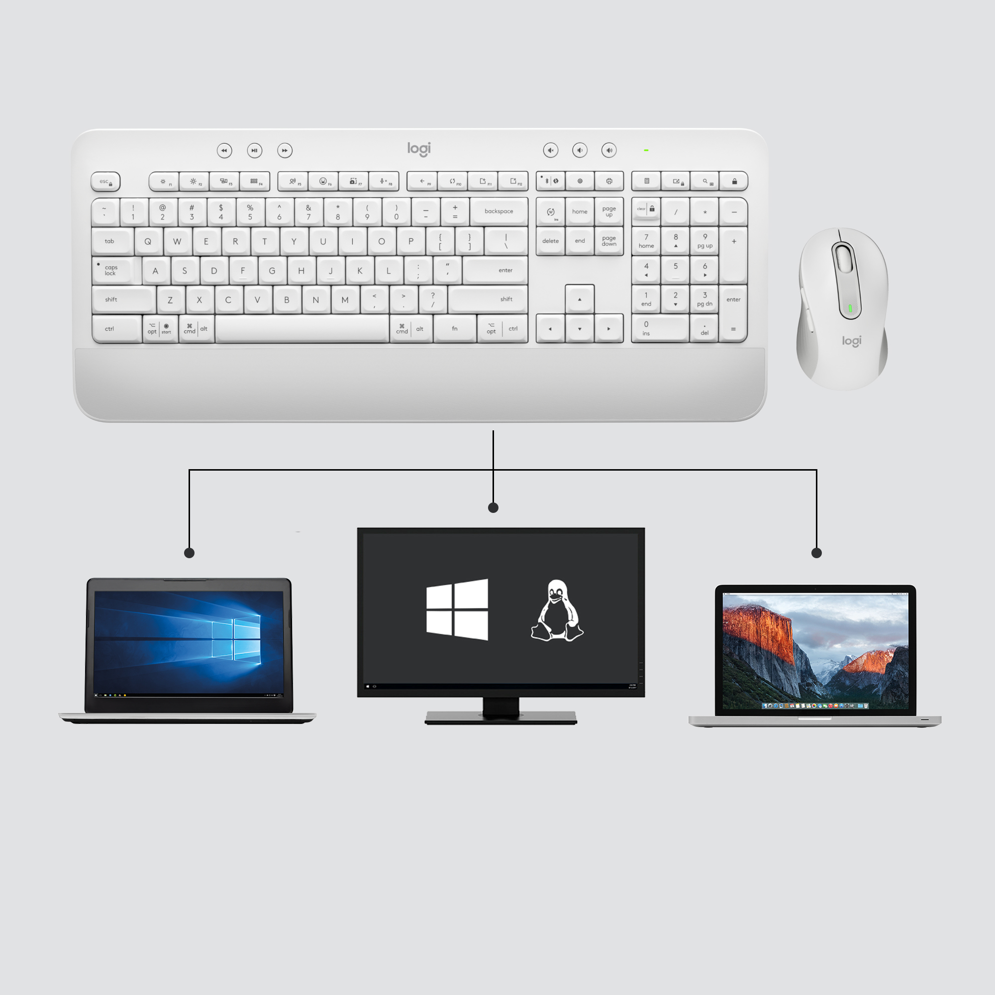 Logitech Signature MK650 Combo for Business
