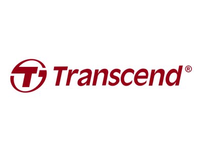 Transcend ESD420 - SSD - 2 TB - extern (tragbar) - USB 3.2 Gen 2x2 (USB-C Steckverbinder)