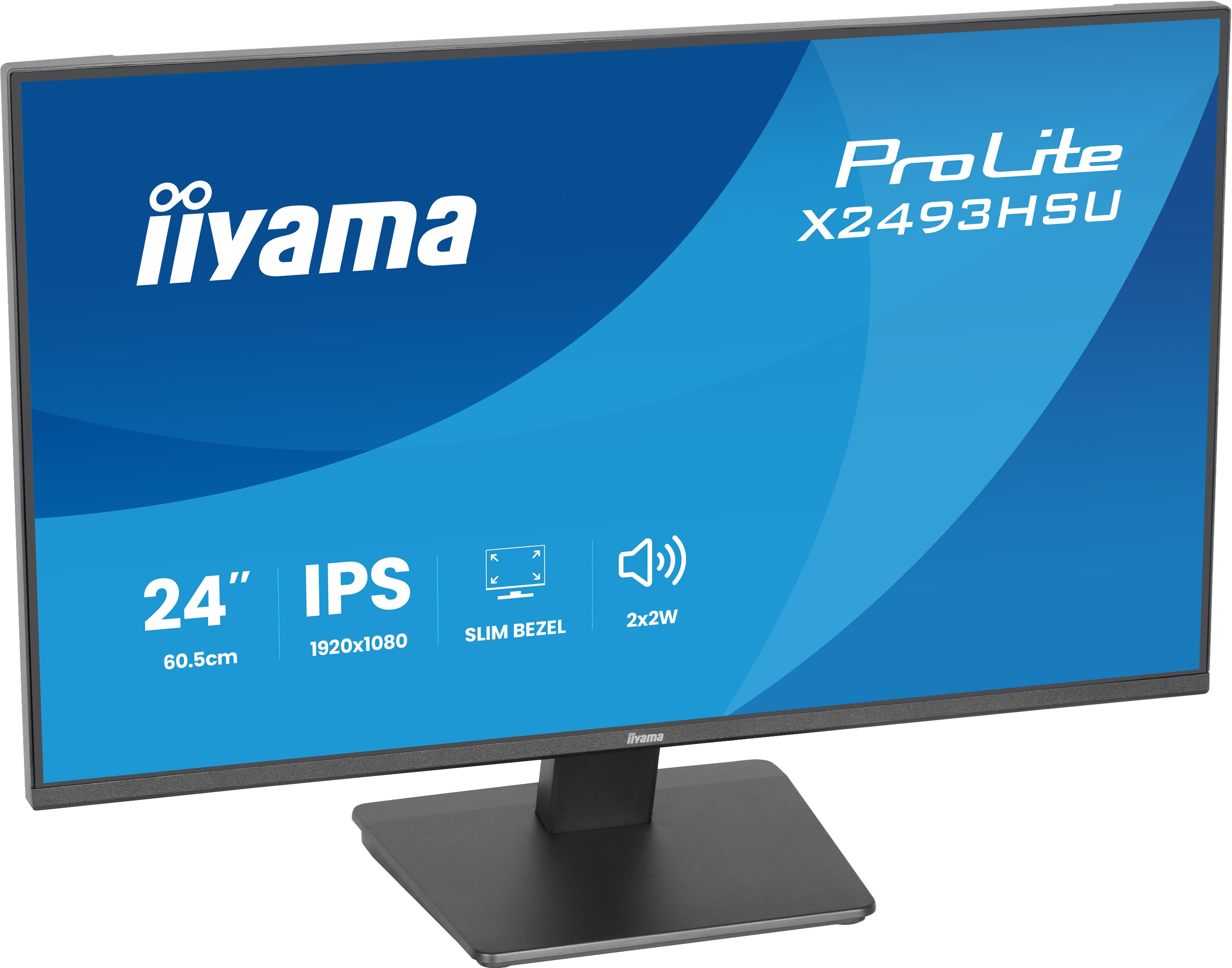 Iiyama ProLite X2493HSU-B1 - LED-Monitor - 61 cm (24")