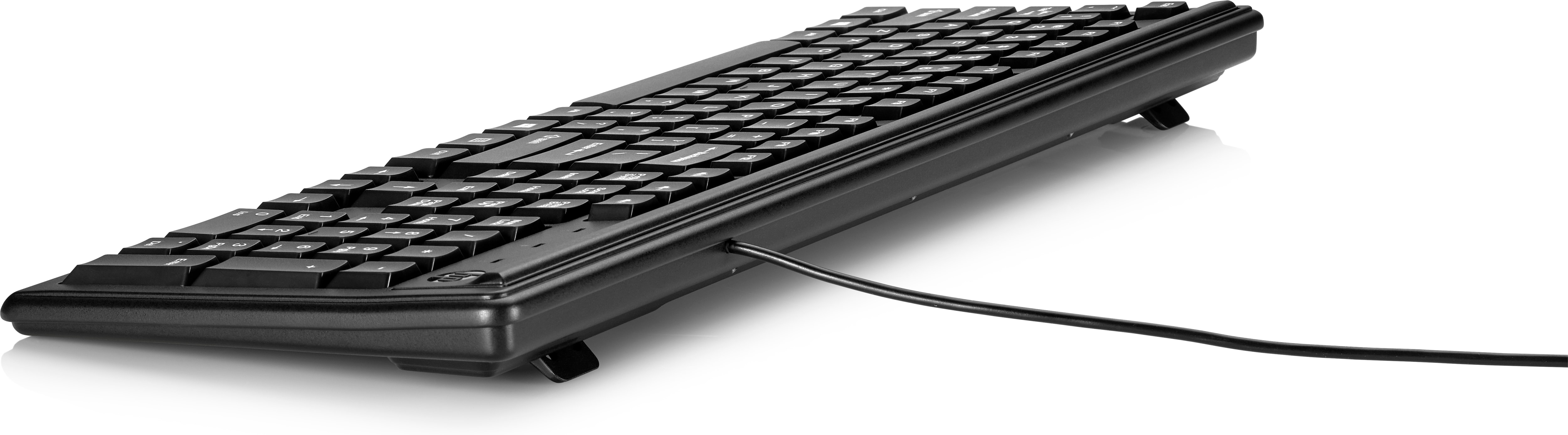 HP 100 Tastatur, Volle Größe (100%), Kabelgebunden, USB, Schwarz