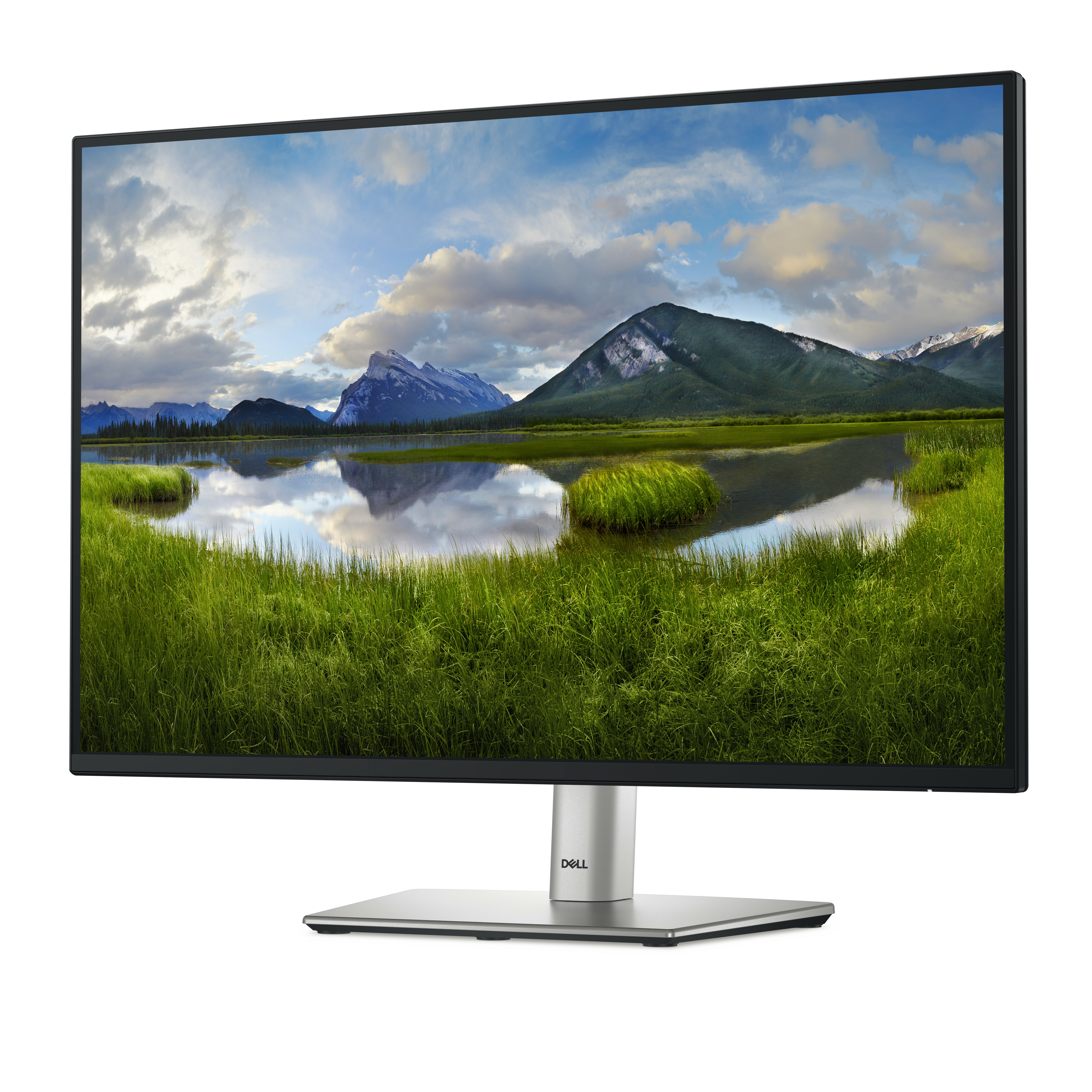 Dell P2425 Monitor 61.1cm (24.07") WUXGA, IPS, 8ms, HDMI, Displayport, VGA, USB