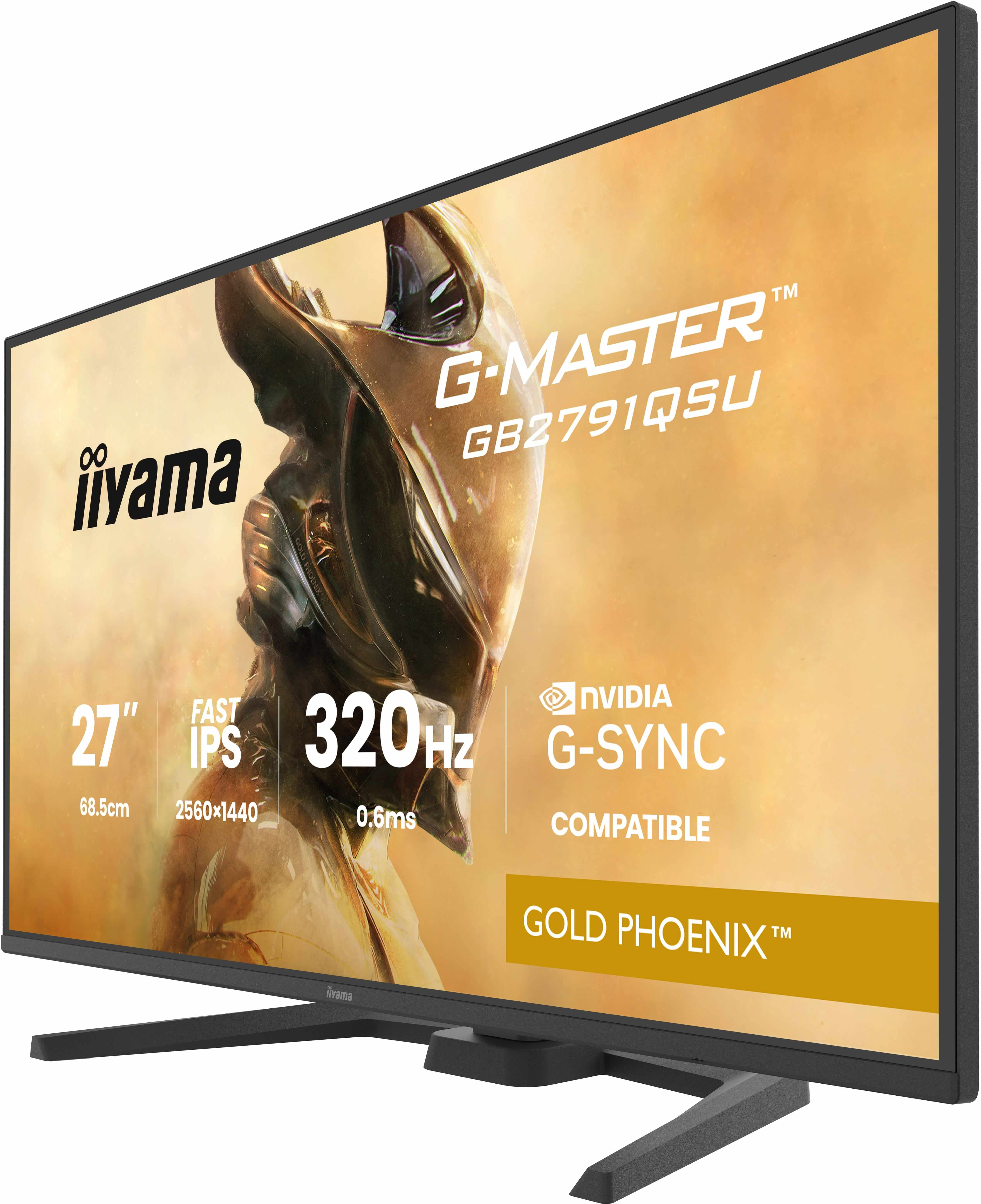 Iiyama G-MASTER Gold Phoenix GB2791QSU-B1 - LED-Monitor - Gaming - 68.6 cm (27")