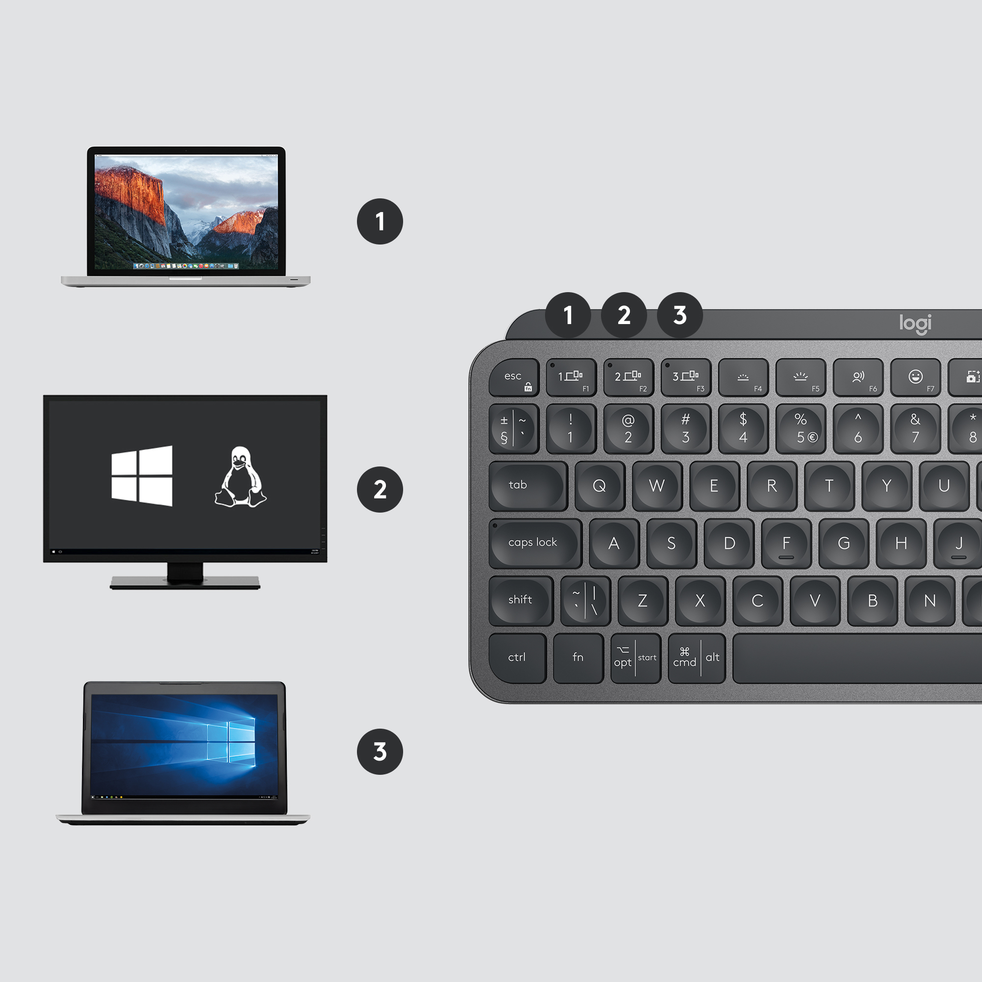 Logitech MX Keys Mini Combo for Business, Kabellos, RF Wireless + Bluetooth, QWERTZ, LED, Graphit, M