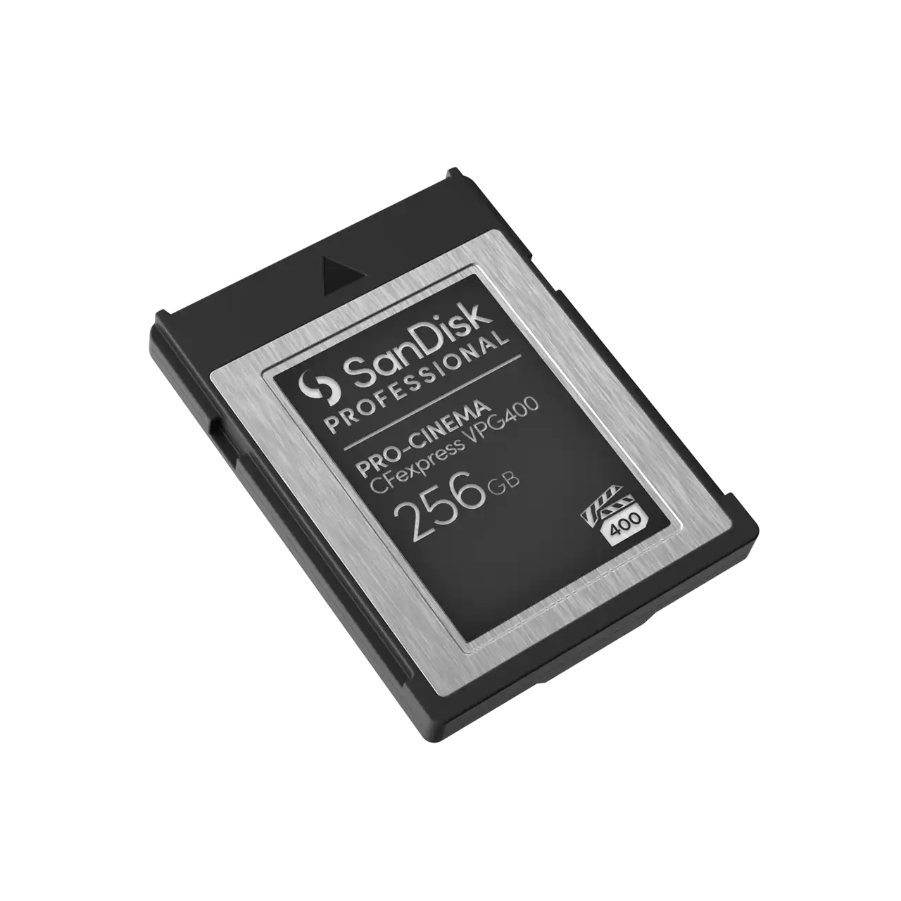 SanDisk Professional - Flash-Speicherkarte - 256 GB