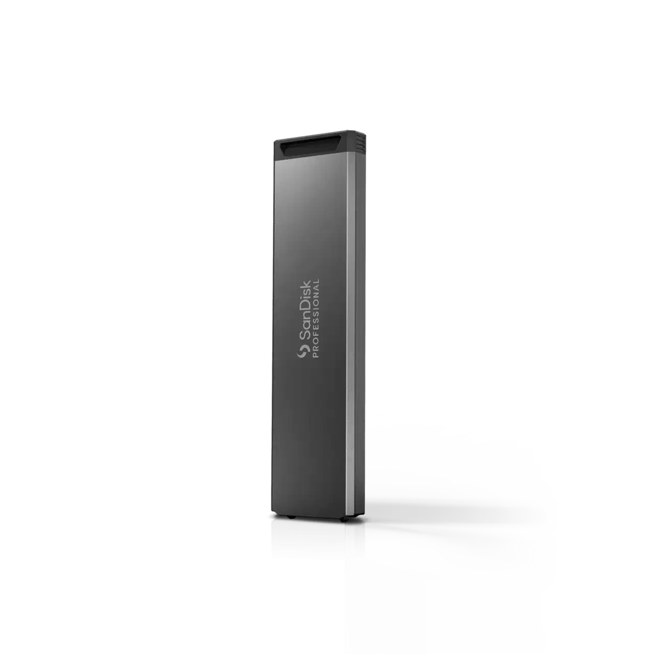 SanDisk Professional PRO-BLADE SSD Mag 4TB, SSD-Modul für PRO-BLADE System