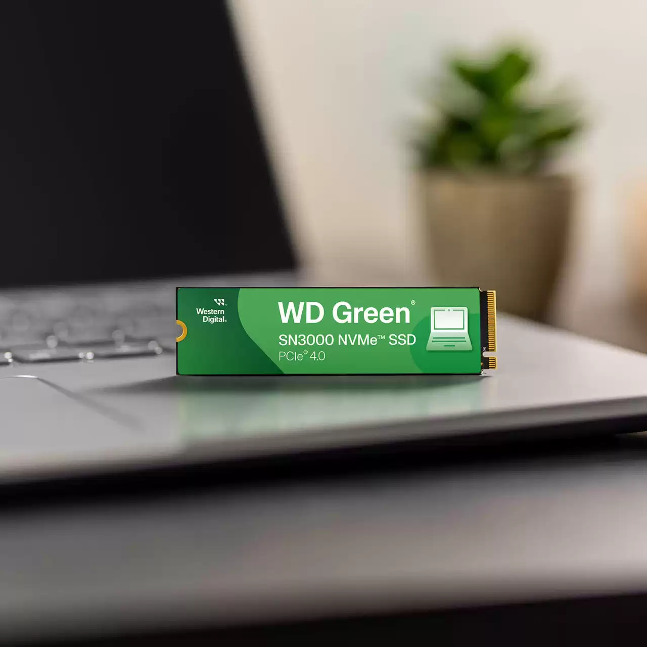 WD Green SN3000 WDS500G4G0E-00CPS0 - SSD - 500 GB - intern - M.2 2280 - PCIe 4.0 x4 (NVMe)
