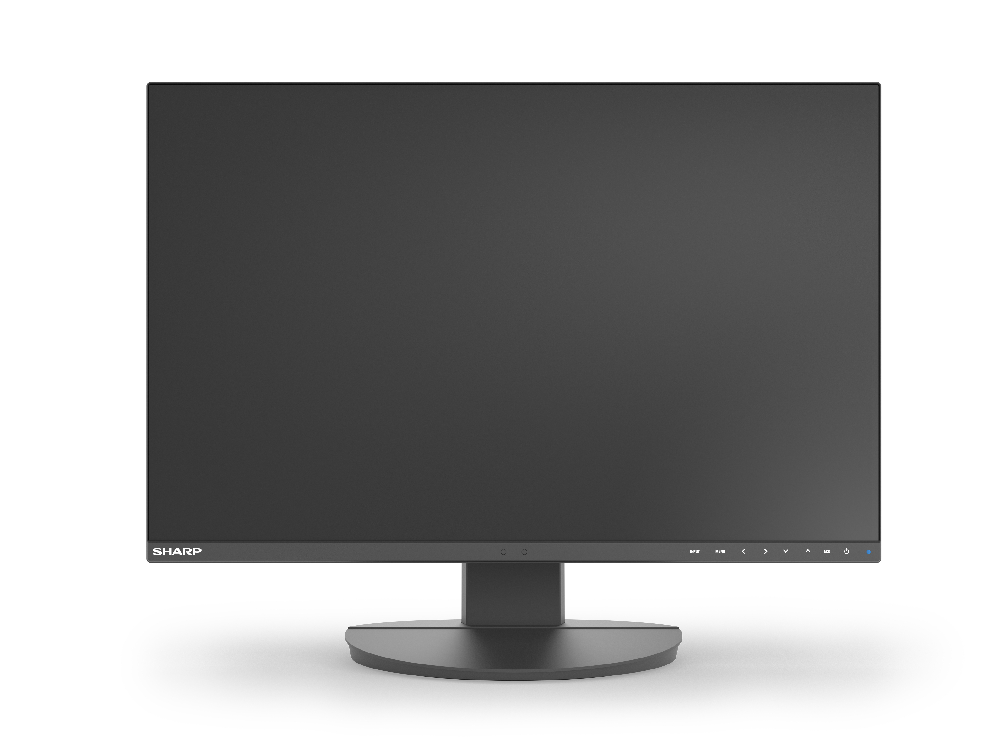 Sharp MultiSync EA241W - LED-Monitor - 61 cm (24")