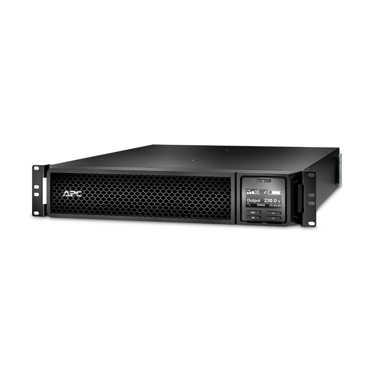 APC Smart-UPS SRT - USV (in Rack montierbar/extern)
